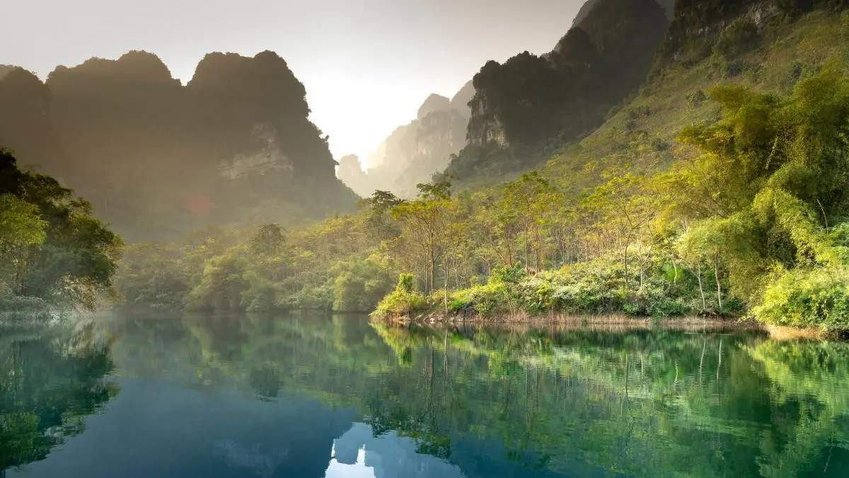 智能智能智能化